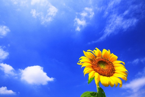 E99D92E7A9BAE381A8E381B2E381BEE3828FE3828A